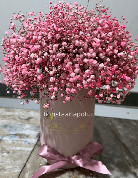 Composizione di nebbiolina colorata 